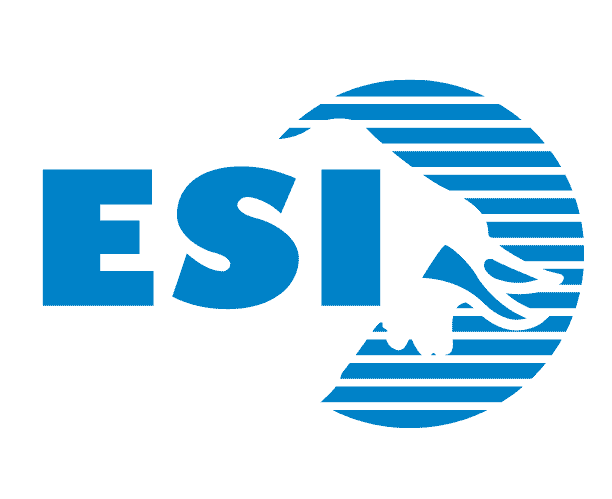 Acquisition of Eichenauer Services Inc.